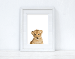 Baby Lion Wild Animal Unisex Nursery Children's Room Wall Decor Print