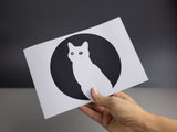 Moon Cat Sticker